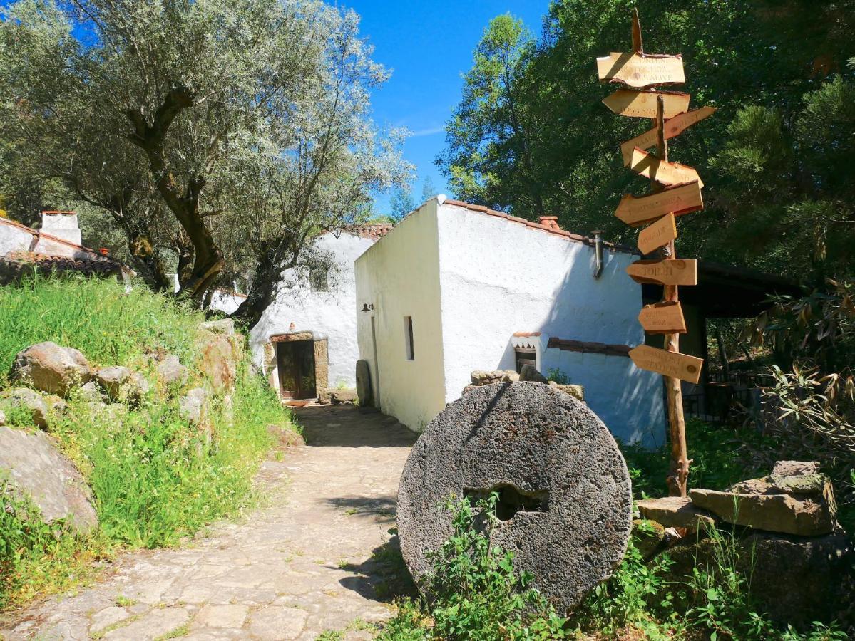 Serra Vida - A Place Of Presence Santo António das Areias Exterior photo